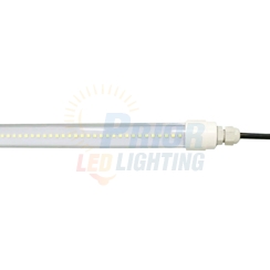 IP68 LED T8 Tube
